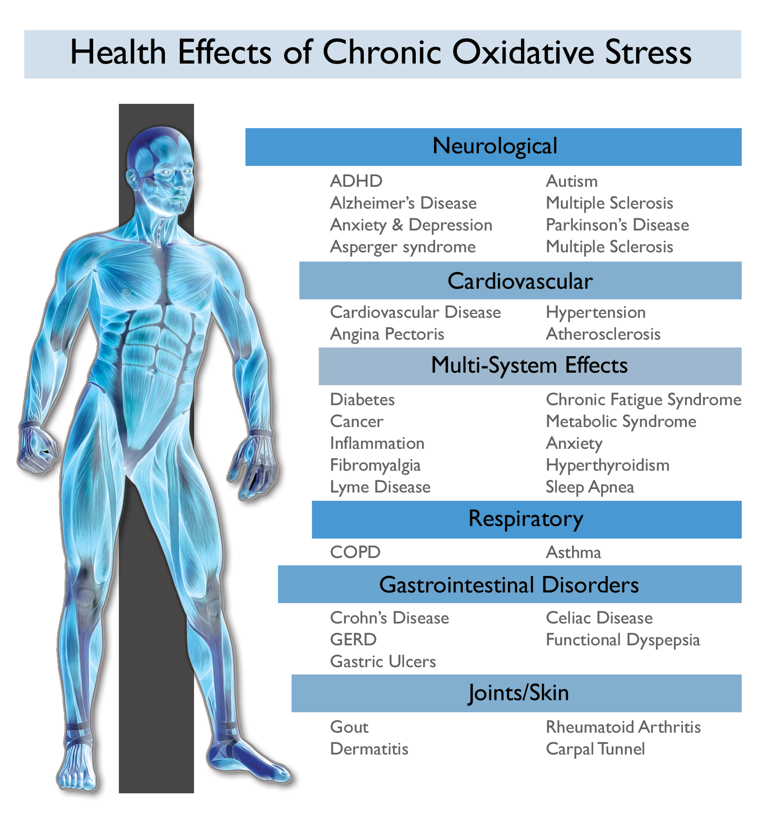 chronic-oxidative-stress-and-the-body
