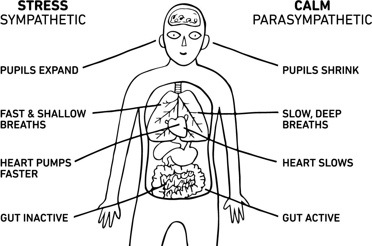 learn-body