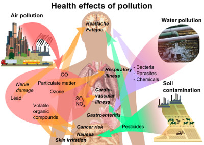 Persistent-Organic-Pollutants-And-Diabetes