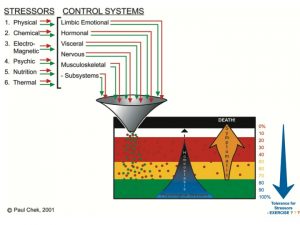 StressorDiagram-2