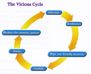 the-vicious-cycle