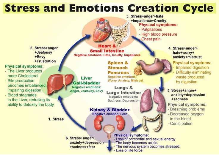 Healing from anger and frustration – Yoga Anatomy in Manchester a