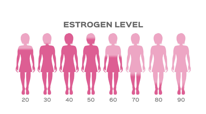 Estrogen Levels