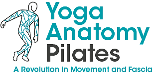 Yoga Anatomy in Manchester a Revolution in Movement Logo